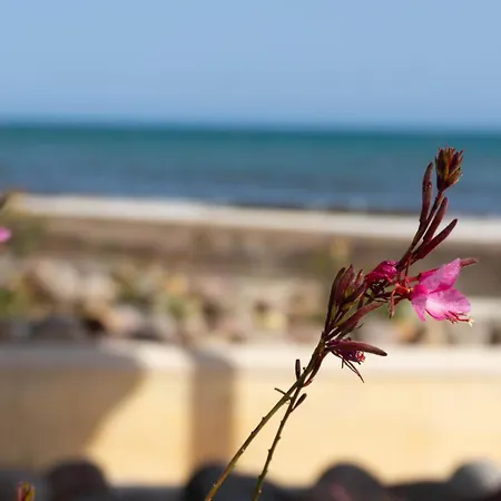 A Un Paso Del Mar Apartman Santa Pola